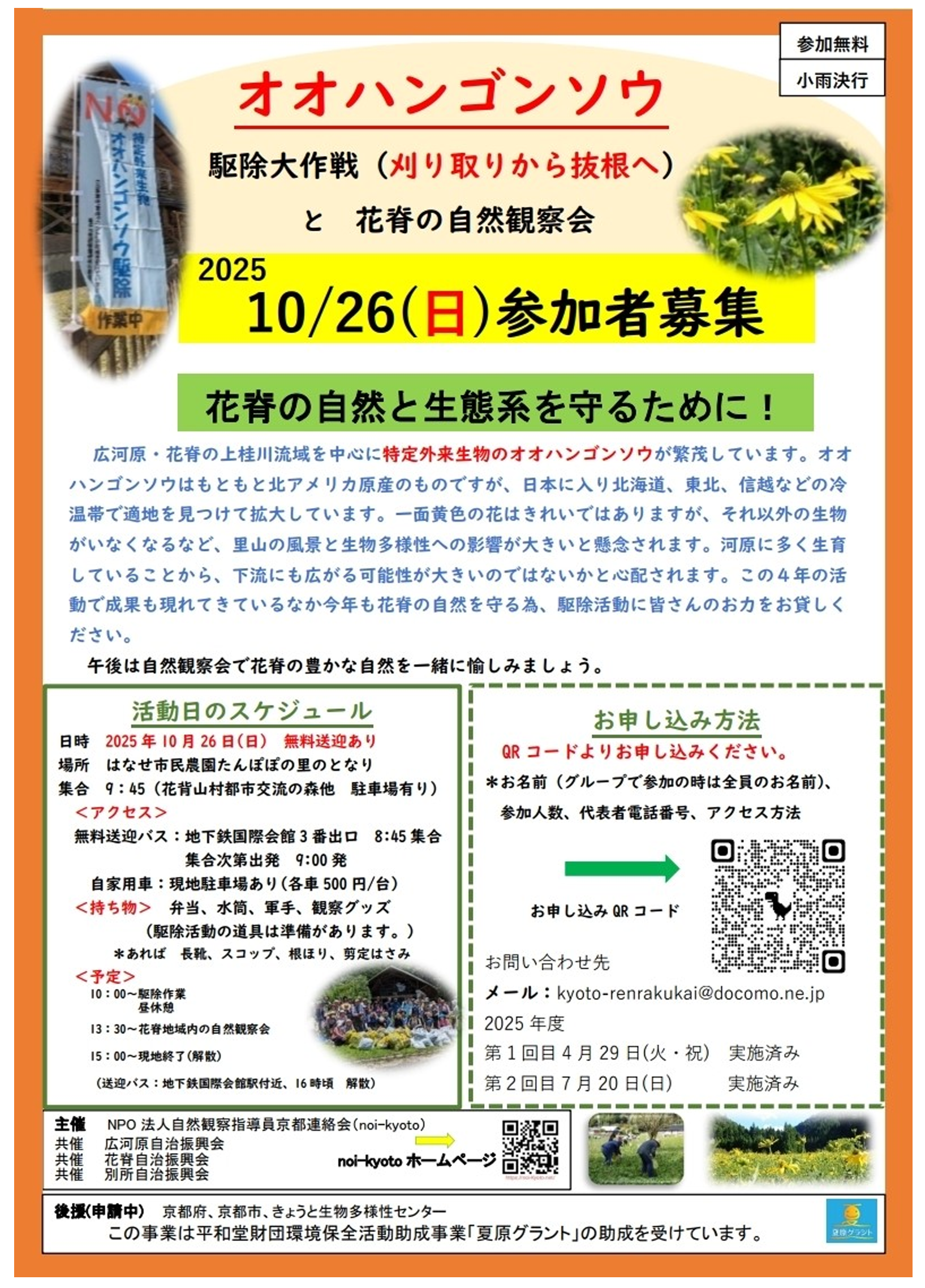 大作戦チラシ