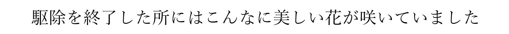 緊急連絡